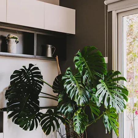 Neapolis Spacious Quiet Near Appartement *