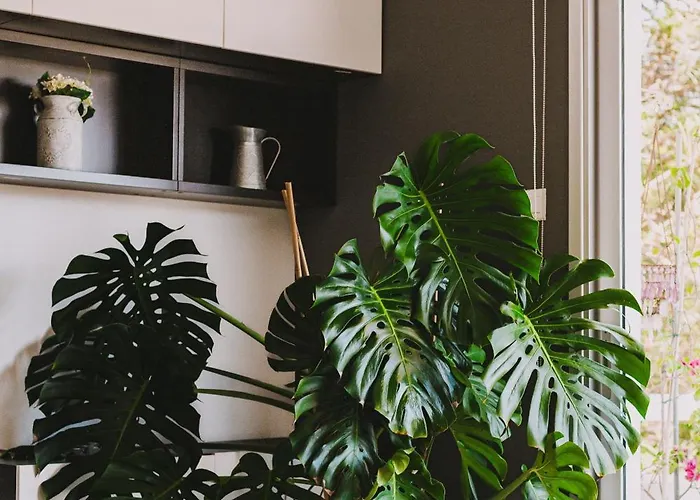 Neapolis Spacious Quiet Near Appartamento *